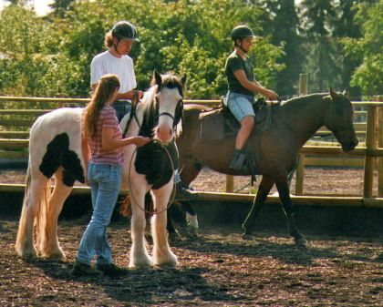 Gruppenunterricht im indianischen Reiten